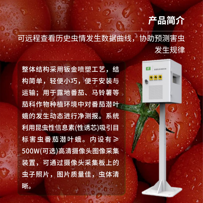 番茄潛葉蛾智慧性誘測(cè)報(bào)系統(tǒng)
